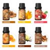HIQILI Spice Fragrance Oils,TOP 6 Gift Set, 100% Pure Perfume Oil for Aromatherapy | Car Diffusion,Candle Making, Hair Care, DIY