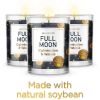 Magnificent 101 Set of 3 Long-Lasting Full Moon Aromatherapy Candles 10.5 Oz - 42-Hour Burn 100% Soy Wax, Herbs Ideal for Meditation
