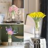 Vase Set for Flowers Plants, Clear Vase with Black Stand, Modern Decorative with Timer LED Lights Battery Operated,(Set of 2)